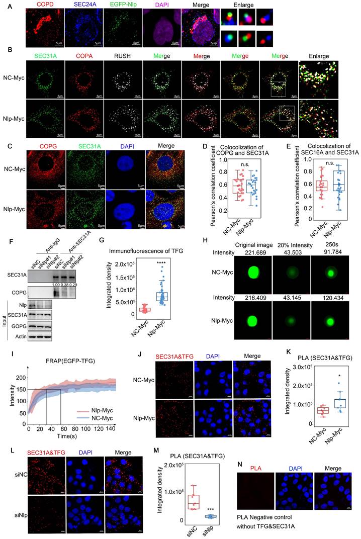 Int J Biol Sci Image