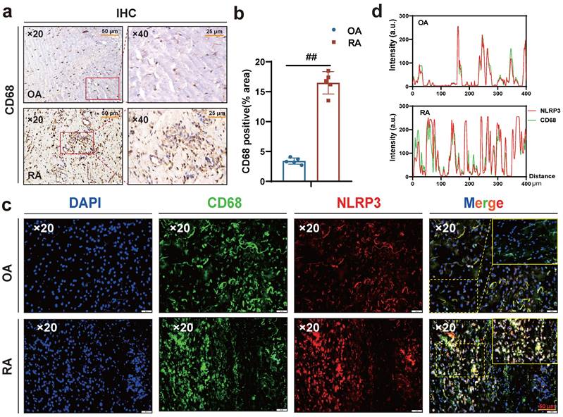 Int J Biol Sci Image