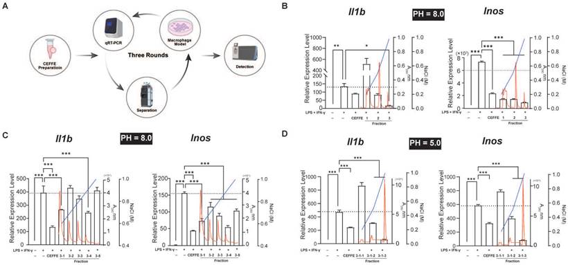 Int J Biol Sci Image