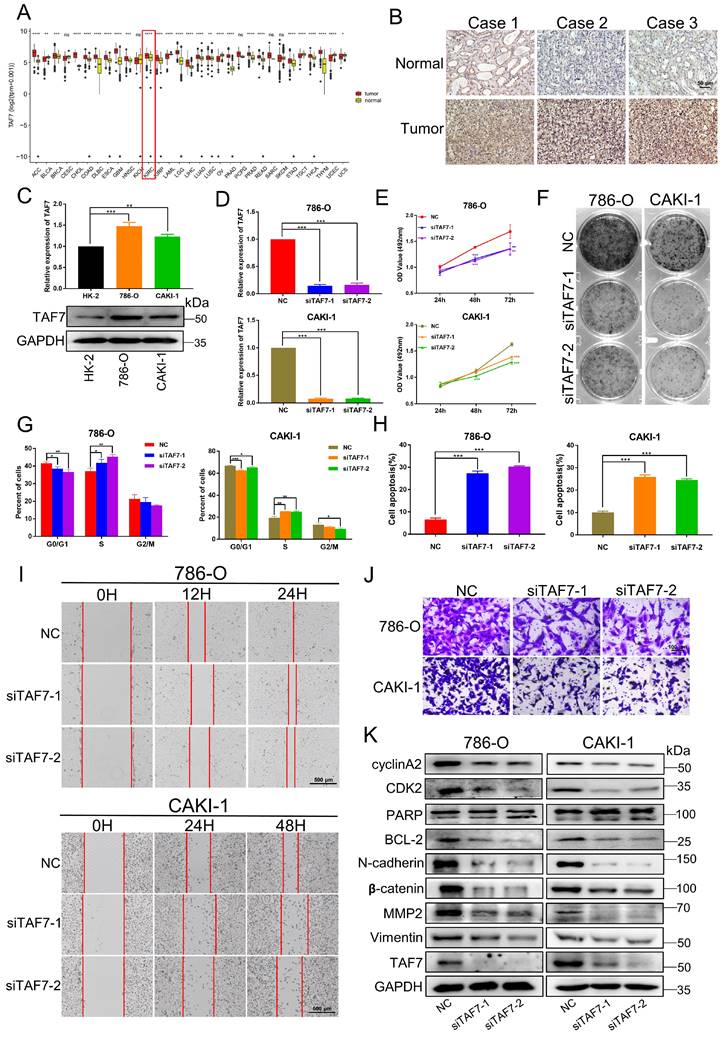 Int J Biol Sci Image