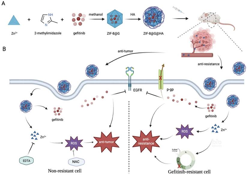 Int J Biol Sci Image