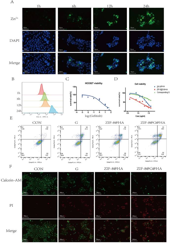 Int J Biol Sci Image