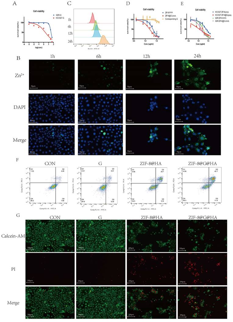Int J Biol Sci Image
