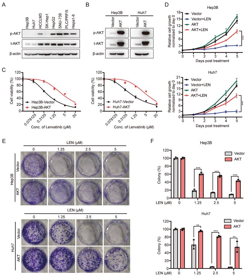 Int J Biol Sci Image
