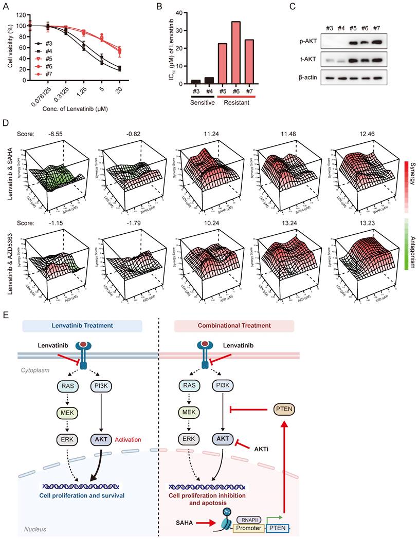 Int J Biol Sci Image