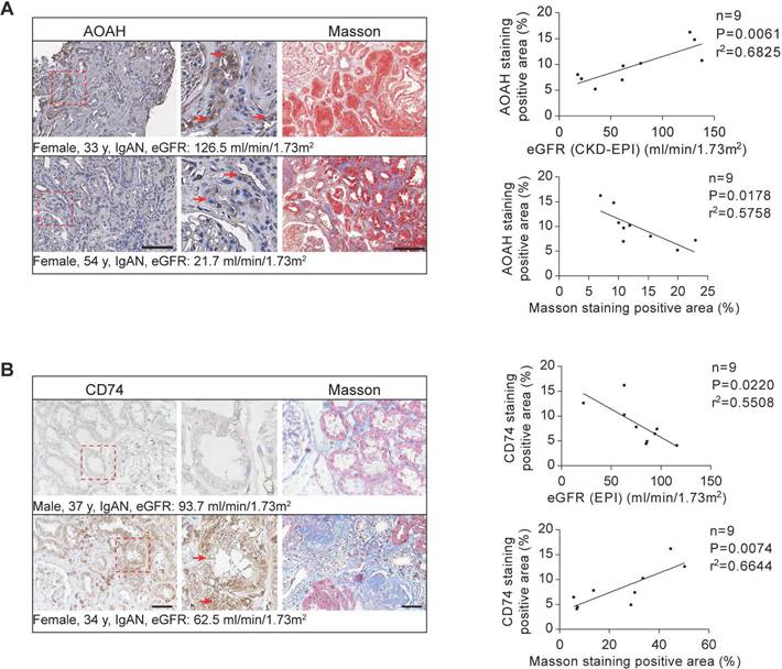 Int J Biol Sci Image