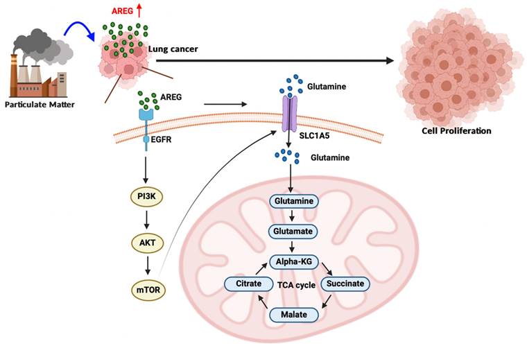 Int J Biol Sci Image