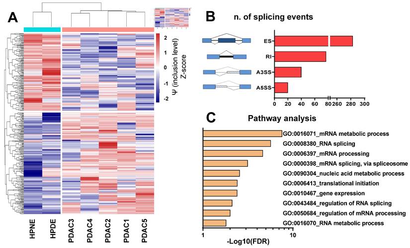 Int J Biol Sci Image
