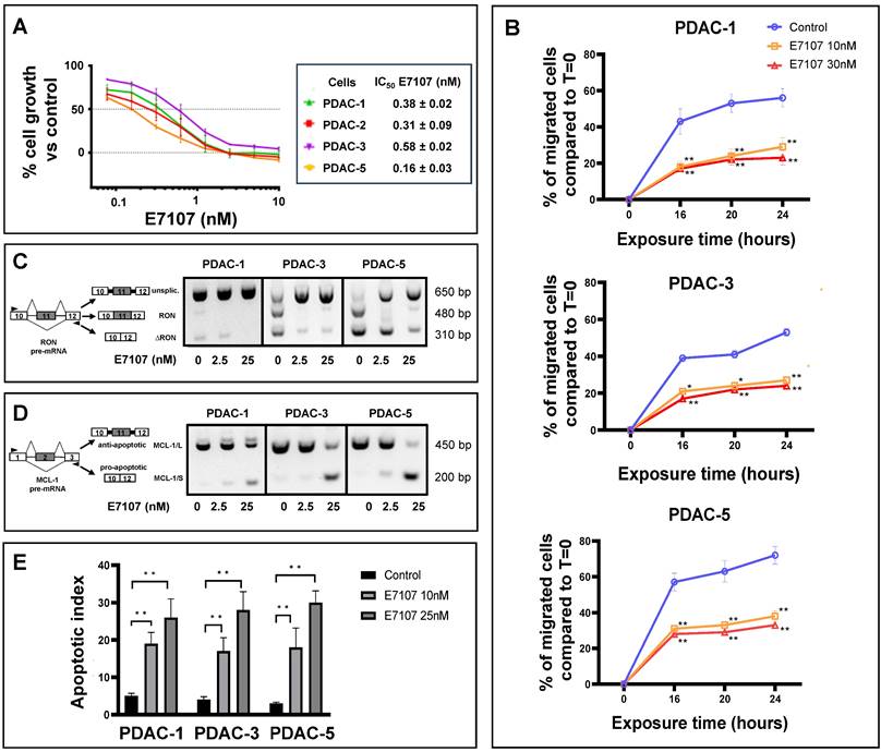 Int J Biol Sci Image