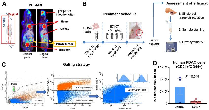 Int J Biol Sci Image