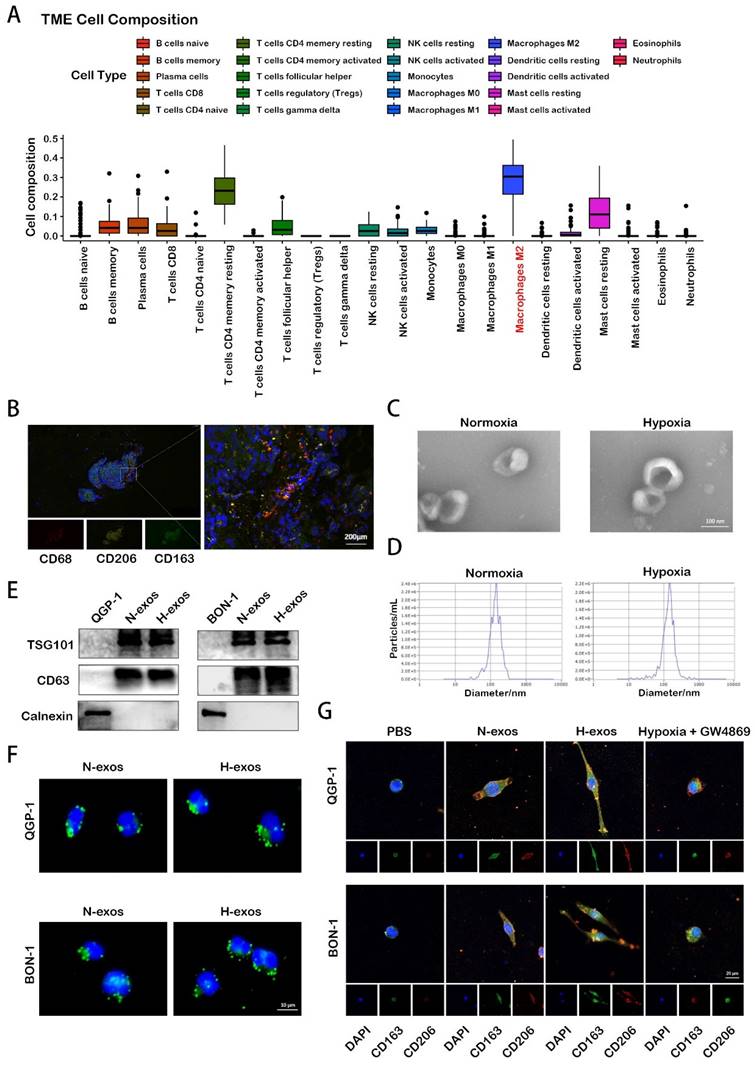 Int J Biol Sci Image