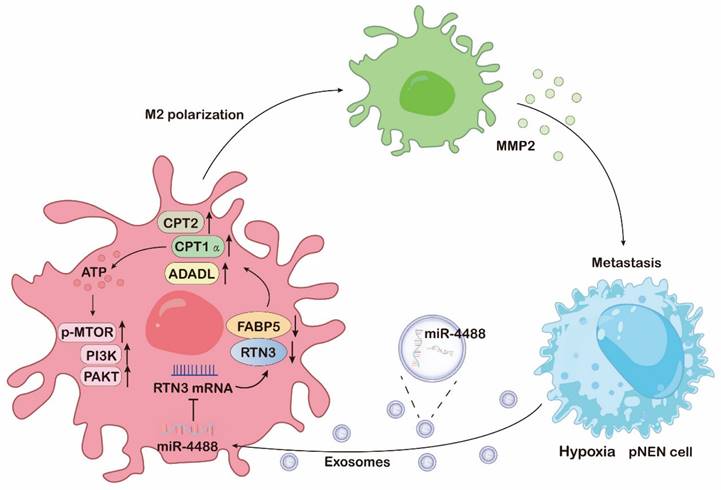 Int J Biol Sci Image
