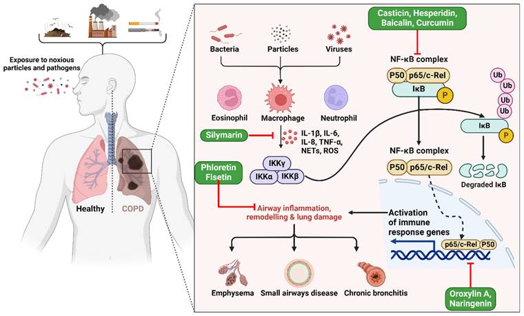 Int J Biol Sci Image