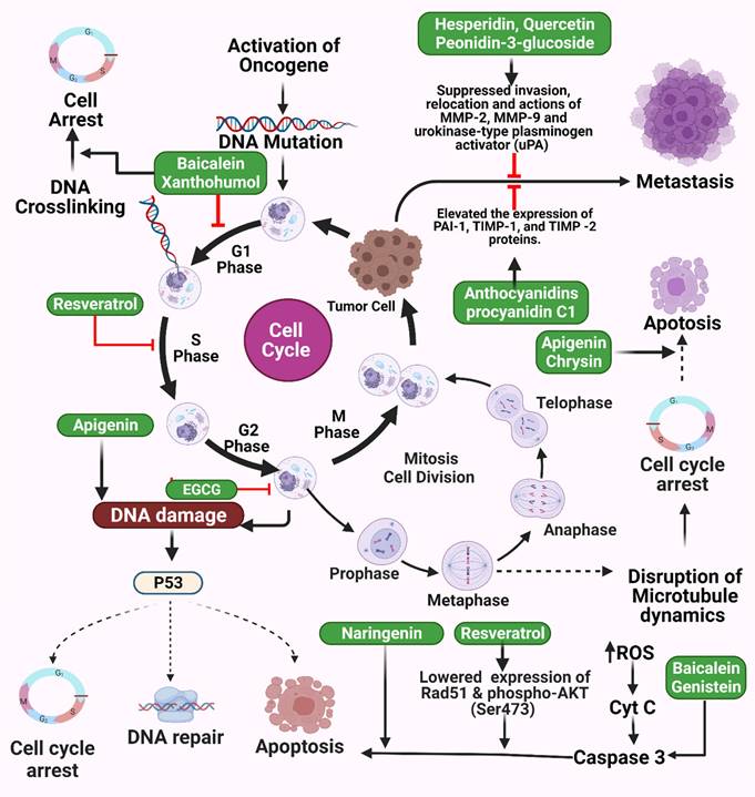 Int J Biol Sci Image