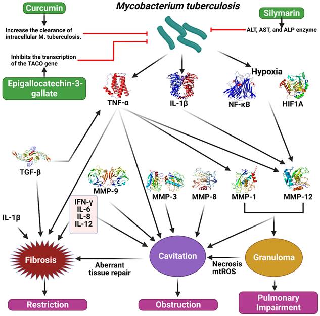 Int J Biol Sci Image