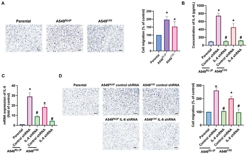 Int J Biol Sci Image