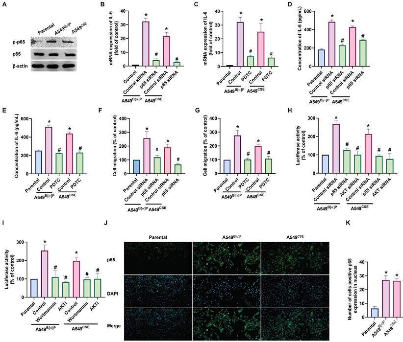 Int J Biol Sci Image
