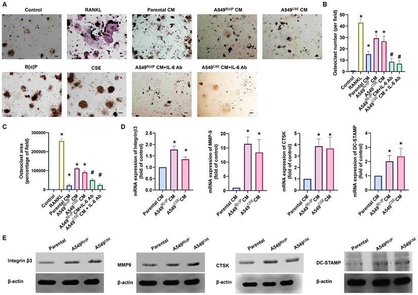 Int J Biol Sci Image