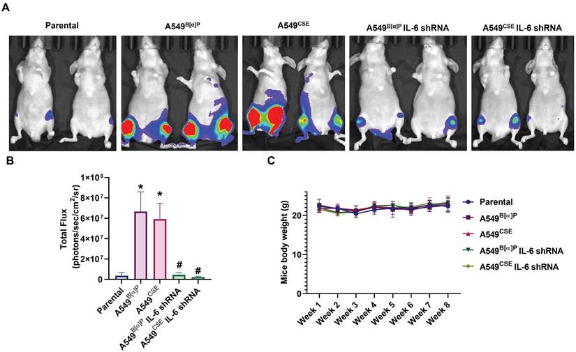 Int J Biol Sci Image
