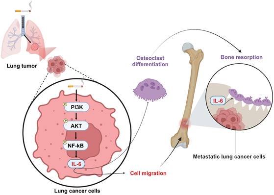 Int J Biol Sci Image