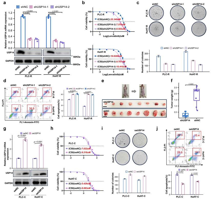 Int J Biol Sci Image