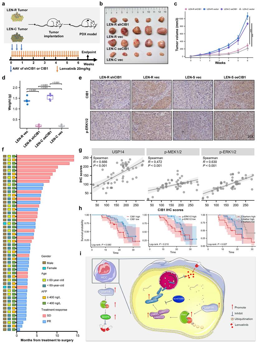 Int J Biol Sci Image