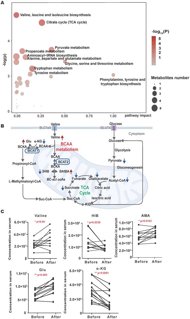Int J Biol Sci Image