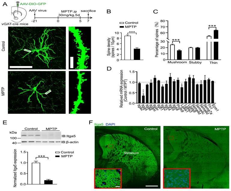 Int J Biol Sci Image