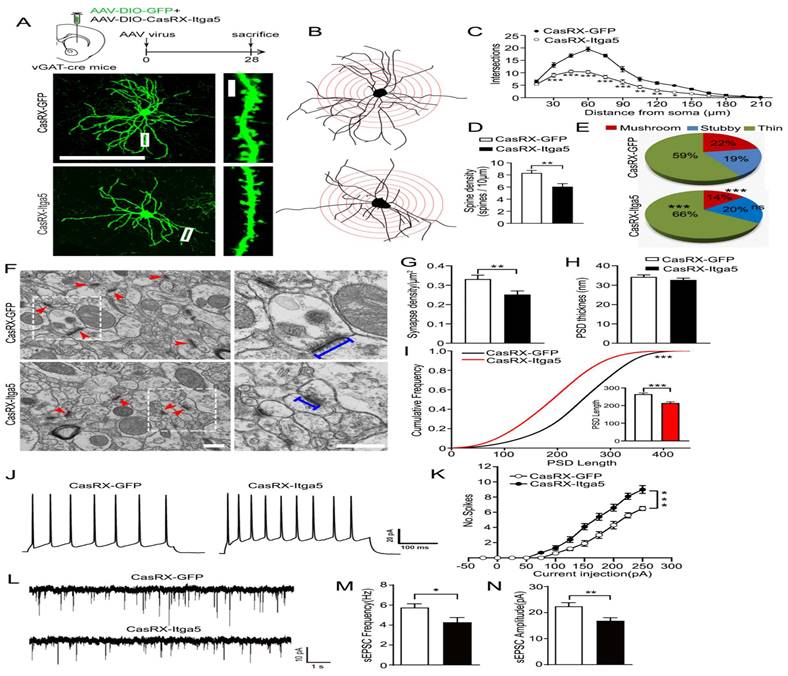 Int J Biol Sci Image