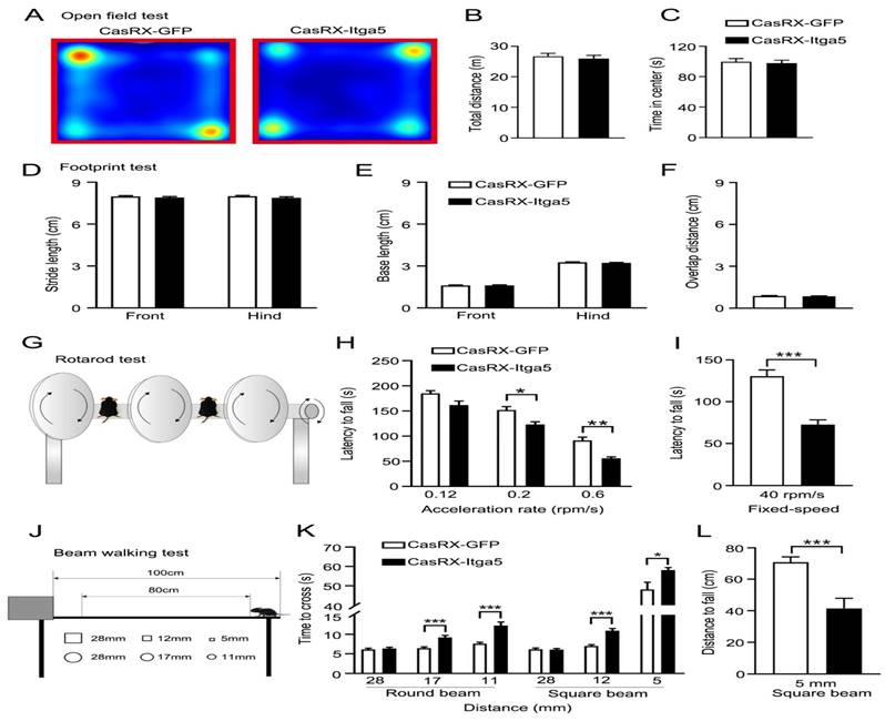 Int J Biol Sci Image