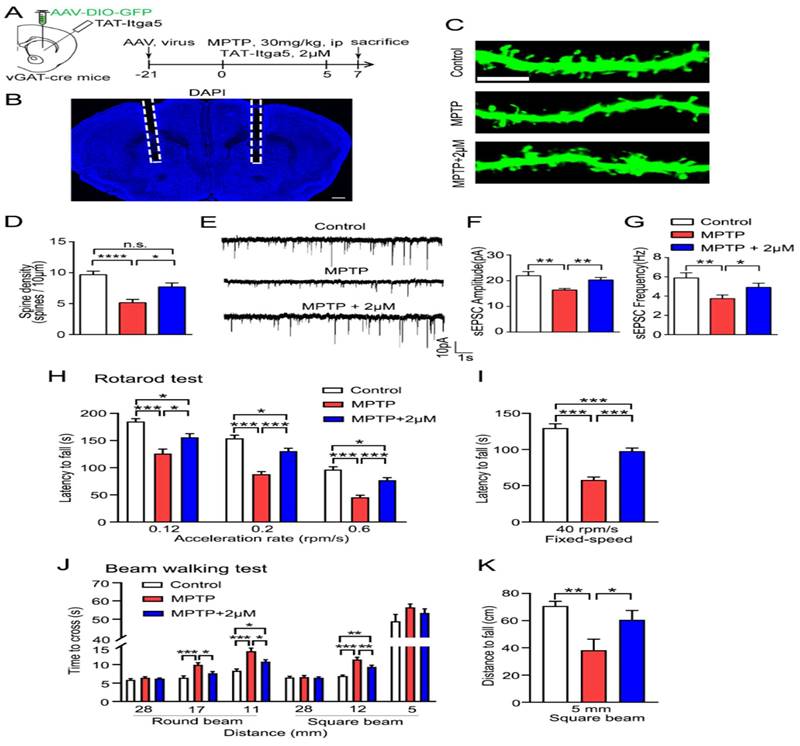 Int J Biol Sci Image