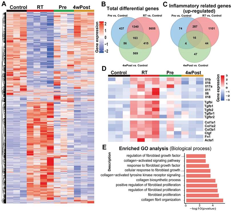 Int J Biol Sci Image