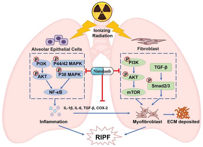 Int J Biol Sci Image