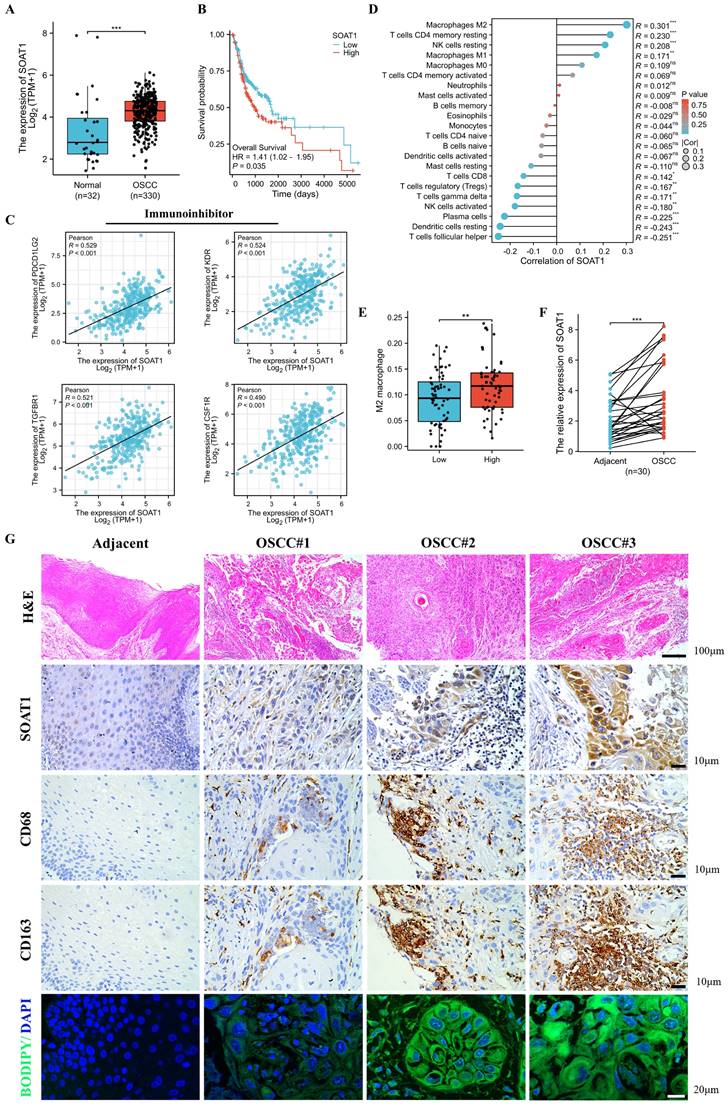 Int J Biol Sci Image