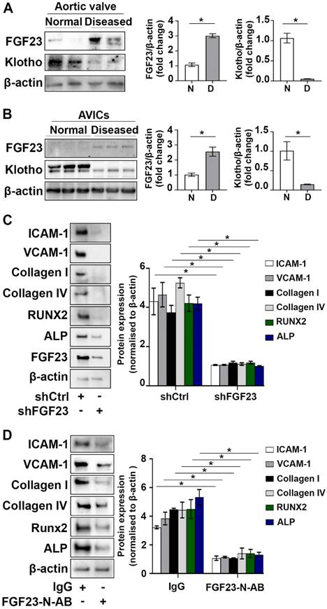Int J Biol Sci Image