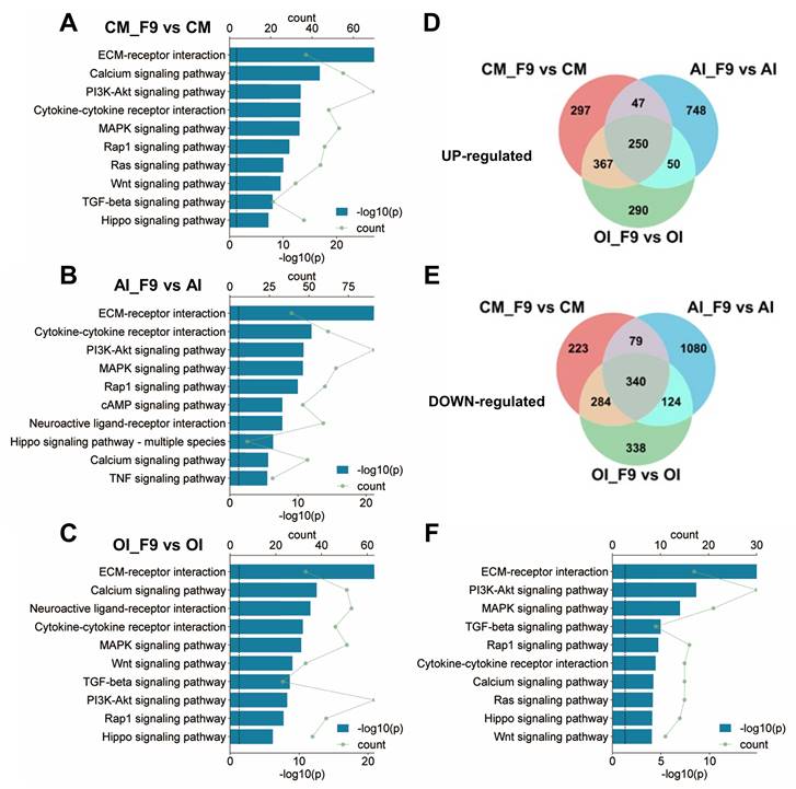 Int J Biol Sci Image