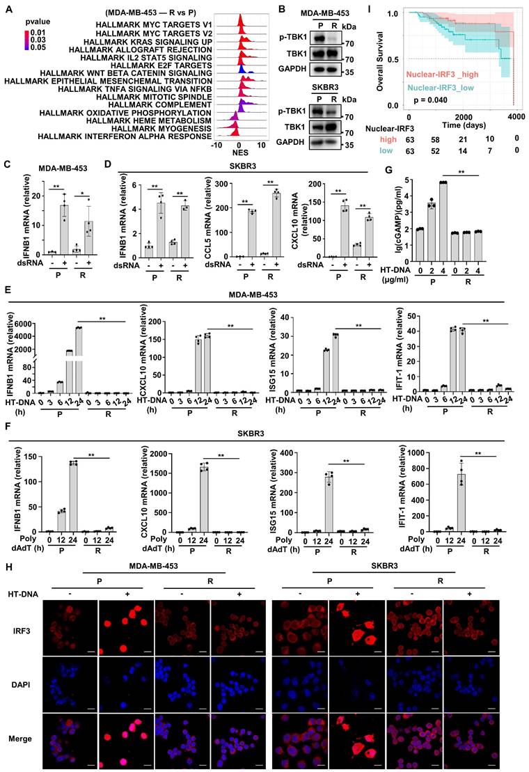 Int J Biol Sci Image