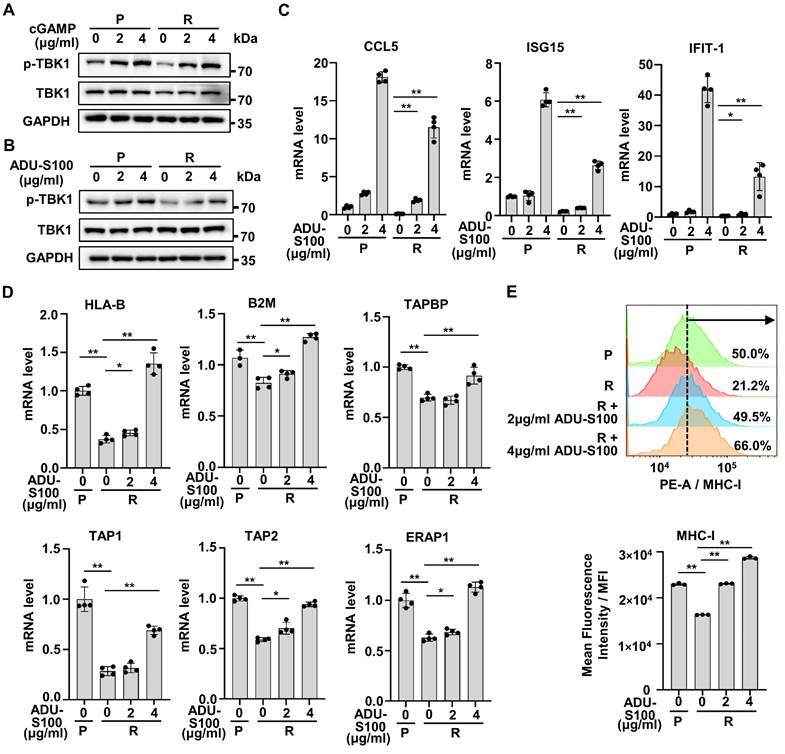 Int J Biol Sci Image