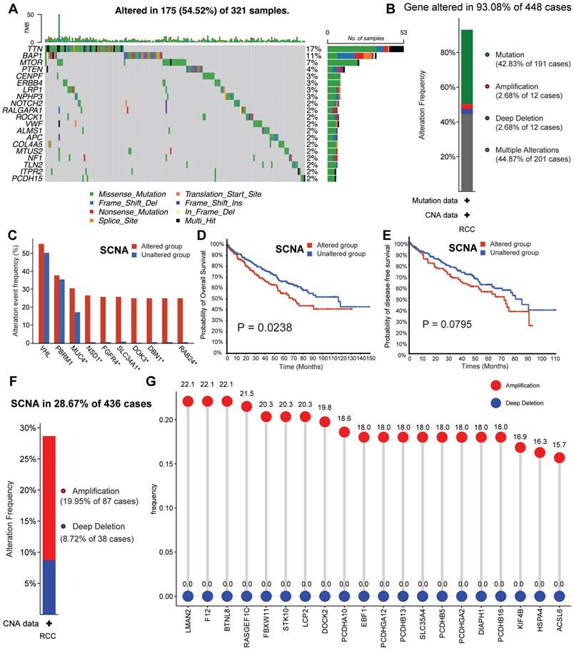 Int J Biol Sci Image