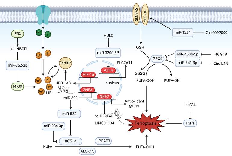 Int J Biol Sci Image