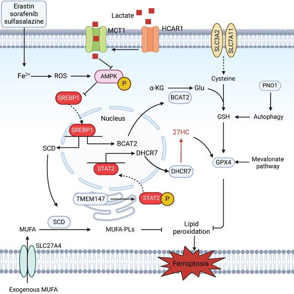 Int J Biol Sci Image