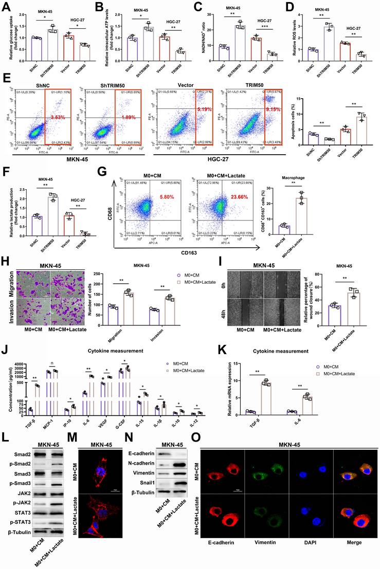 Int J Biol Sci Image