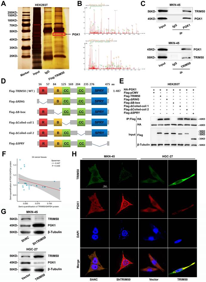 Int J Biol Sci Image