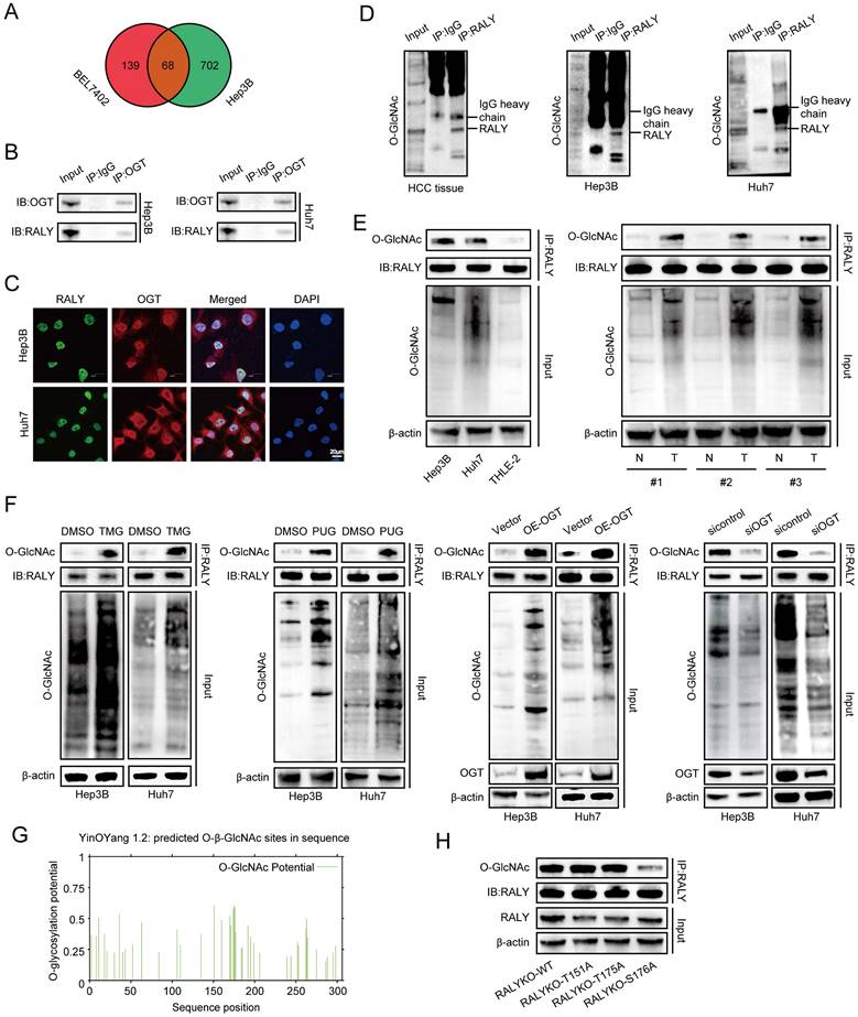 Int J Biol Sci Image