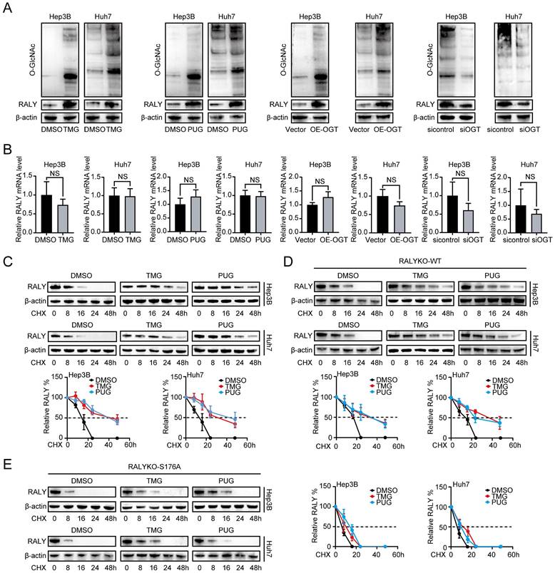 Int J Biol Sci Image
