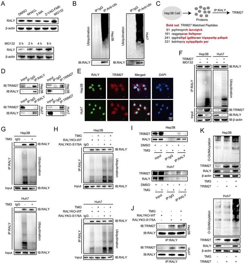 Int J Biol Sci Image