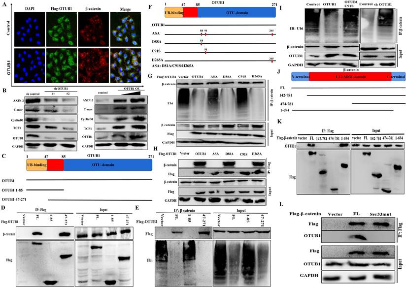 Int J Biol Sci Image