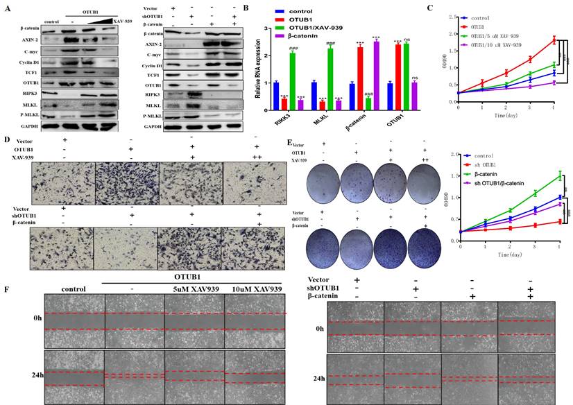 Int J Biol Sci Image