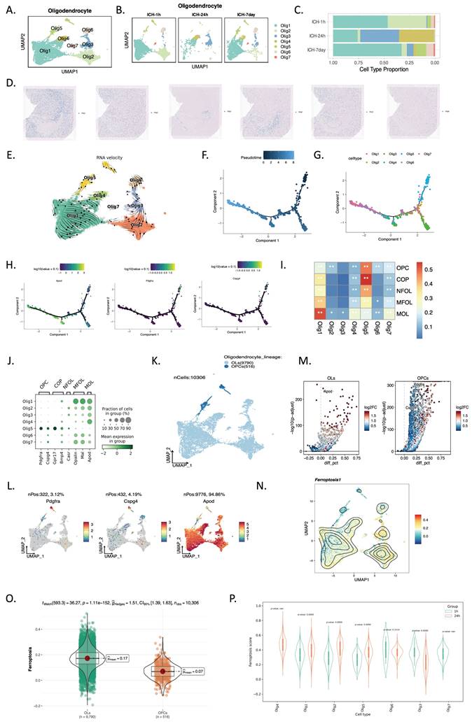 Int J Biol Sci Image