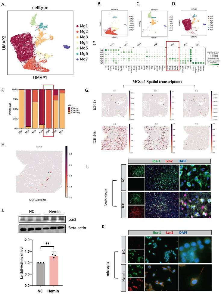Int J Biol Sci Image